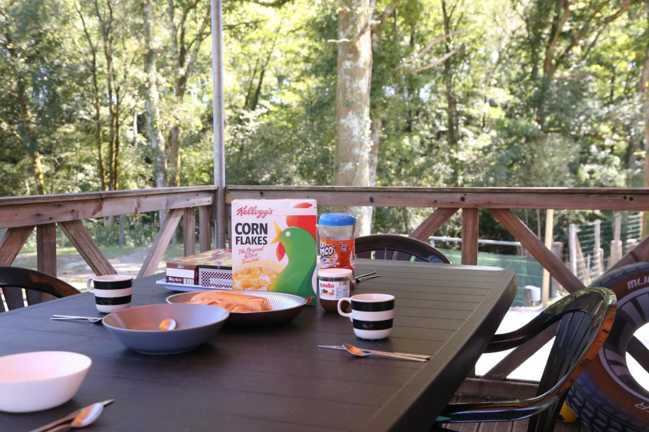 Camping Le Ruisseau Saint-André-de-Seignaux Exteriér fotografie