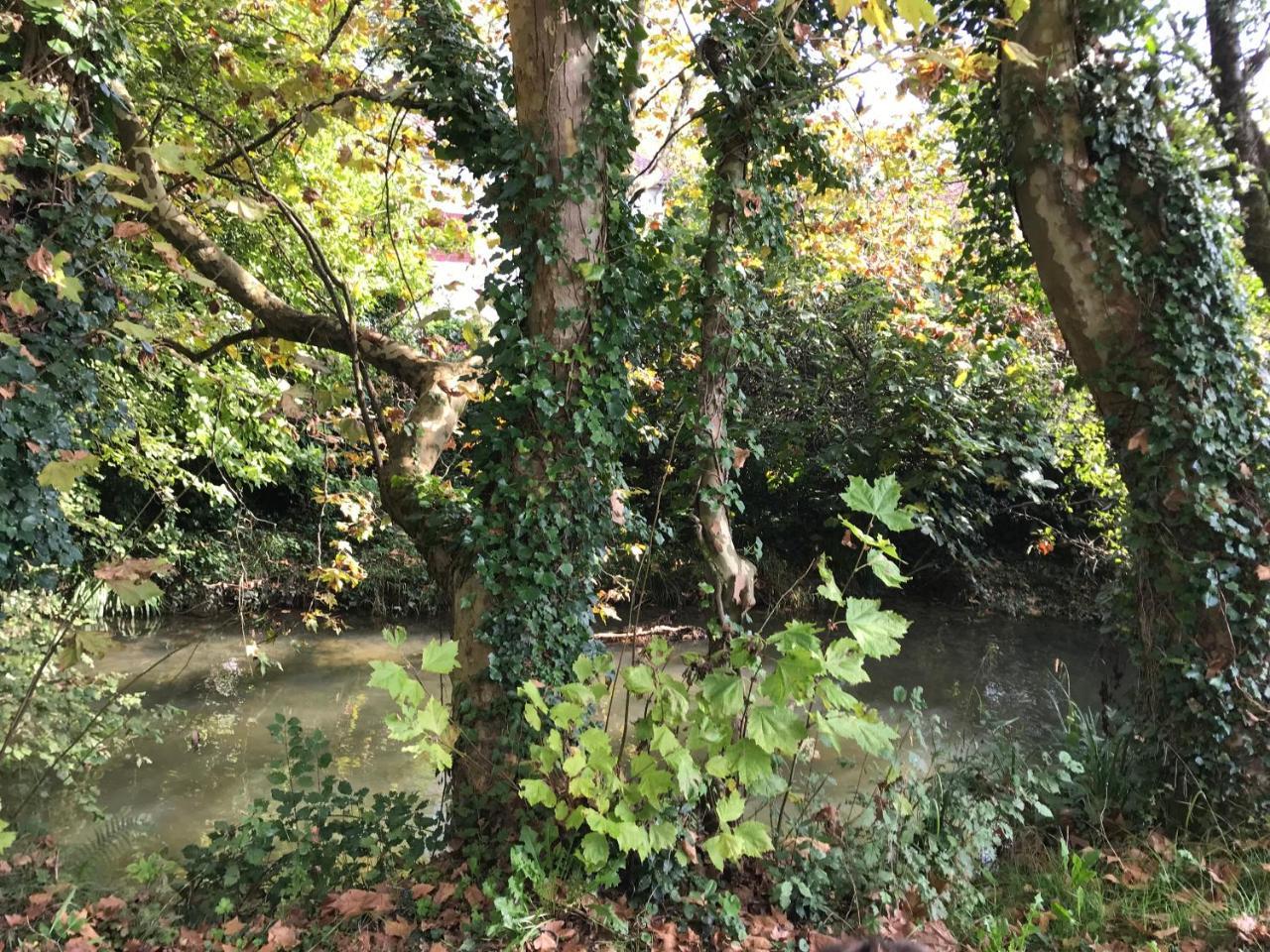 Camping Le Ruisseau Saint-André-de-Seignaux Exteriér fotografie
