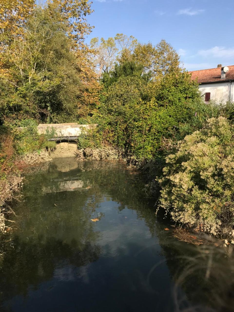 Camping Le Ruisseau Saint-André-de-Seignaux Exteriér fotografie